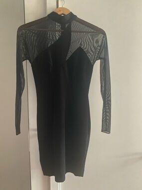 Roulette Vintage Black Long Sleeve Mesh Bodycon Dress